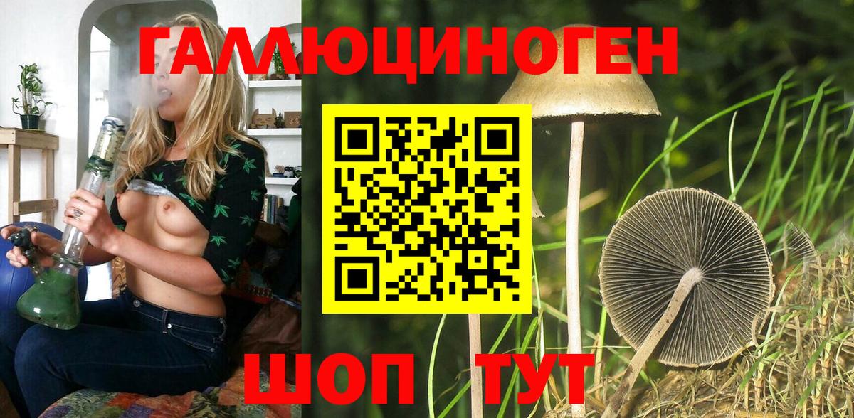 Галлюциногенные грибы прущие грибы Звенигород
